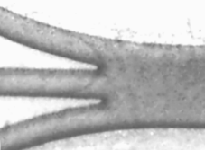 cell2a Image of a 3-inlet microelectrochemical reactor