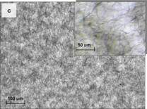 CNT microstructure 0.1% Morphology of CNTs in epoxy, 0.1%