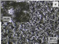 CNT microstructure 0.5% Morphology of CNTs in epoxy, 0.5%