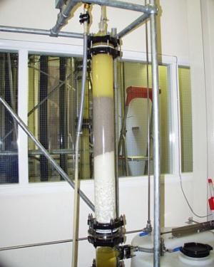 dryer biodiesel production final drying process