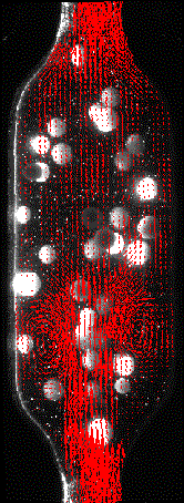 f10a2resize454 Ion exchange resin particles suspended in a meso reactor