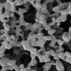 membrane sem Scanning Electron Microscopy (SEM) image of a cellulose membrane, before fouling