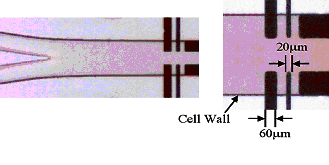 phase2elec Image of electrodes used in multiphase studies