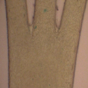 threephasa Image of 3 inlet device