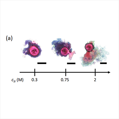 The exploding chemical garden at different silicate concentrations. Adapted from Figure 6 of the paper doi.org/10.1002/anie.201812331 A chemical garden that’s also a chemical clock