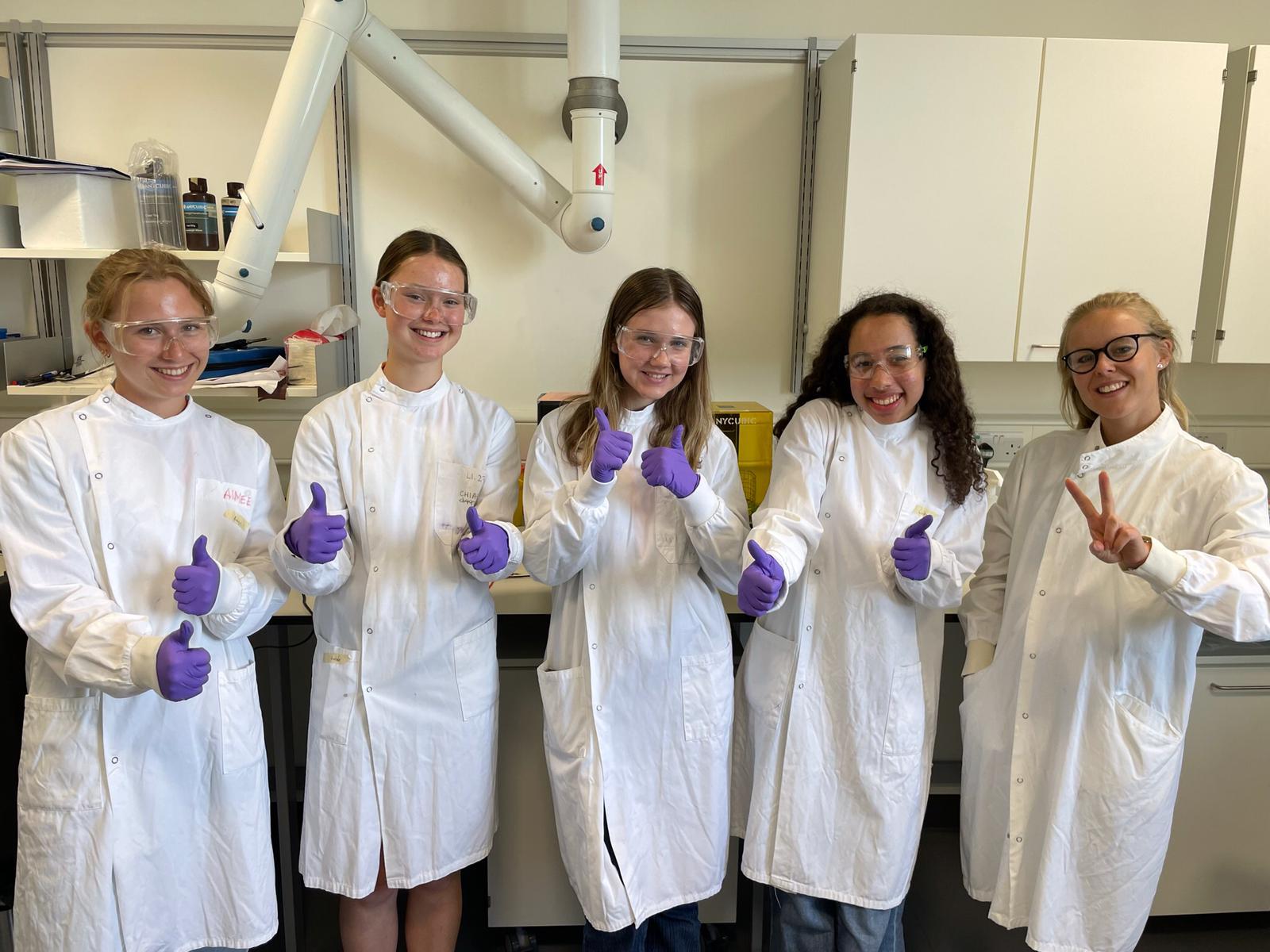 Sarah Barron shadowing scheme at CEB
