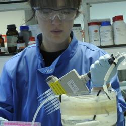 Biopharma alliance forged by MedImmune and CEB