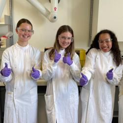 Sarah Barron shadowing scheme at CEB